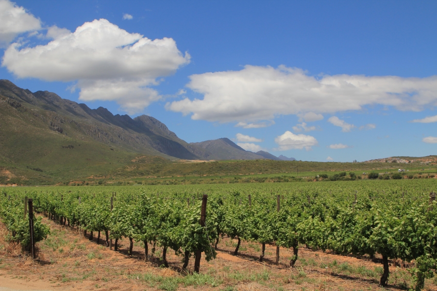 6 Bedroom Property for Sale in Ashton Western Cape